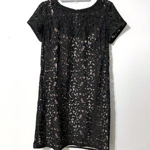 LOFT Little Black Lace Dress